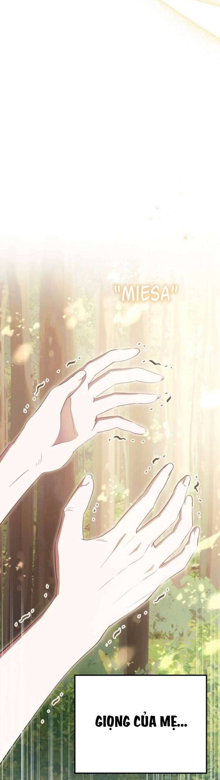 Đằng Sau Nụ Cười Của Nàng Công Chúa - Chap 41