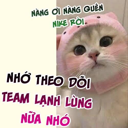 Độc Bộ Thiên Hạ: Đặc Công Thần Y - Chap 502