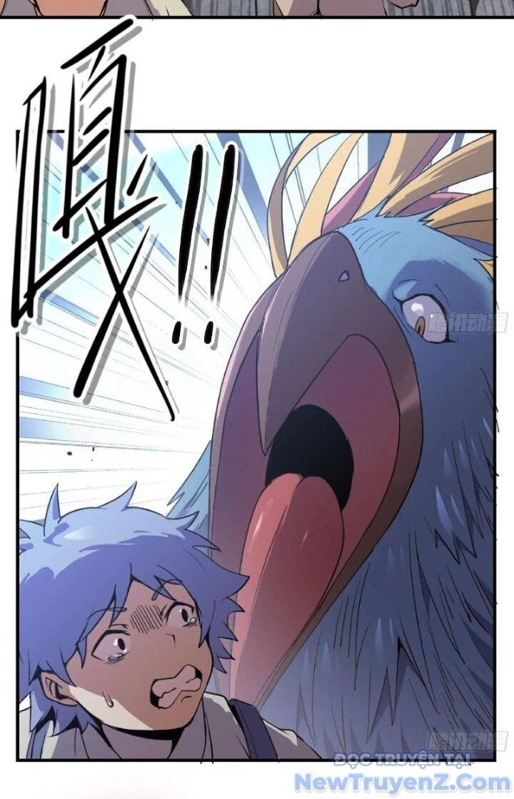 Dũng Sĩ Nấm - Chap 47