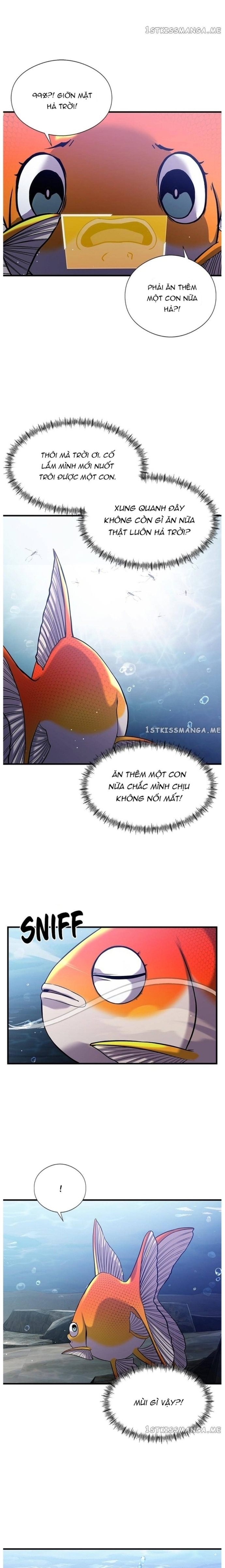 Hoá Thân Thành Cá - Chap 33