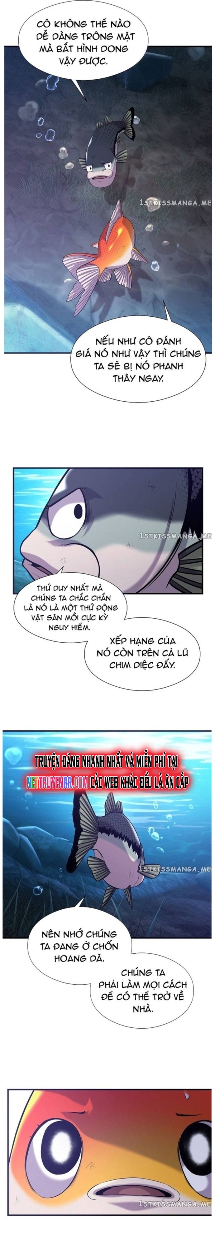Hoá Thân Thành Cá - Chap 48