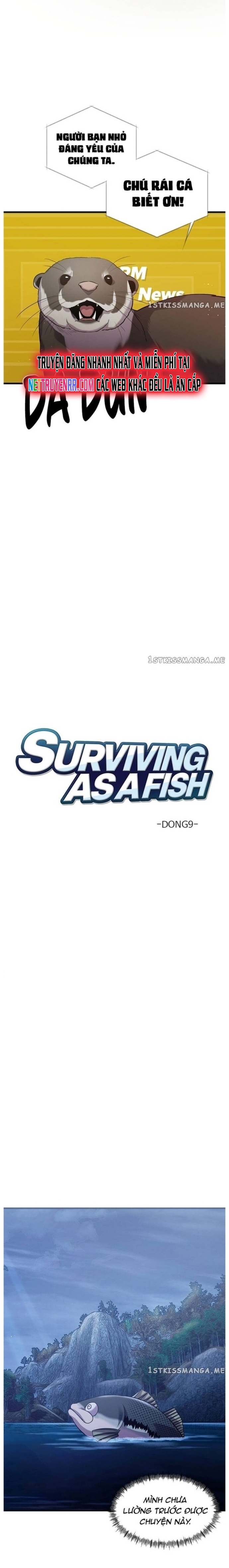 Hoá Thân Thành Cá - Chap 48