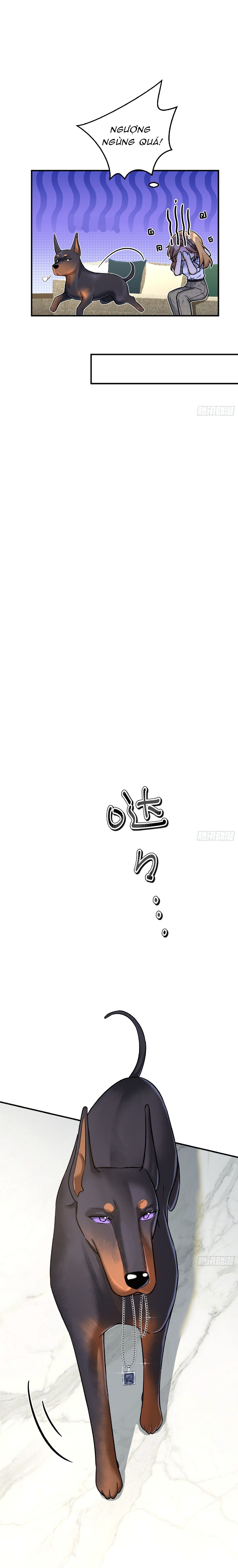 Tên Đàn Ông Này Đúng Là Đồ Chó - Chap 8