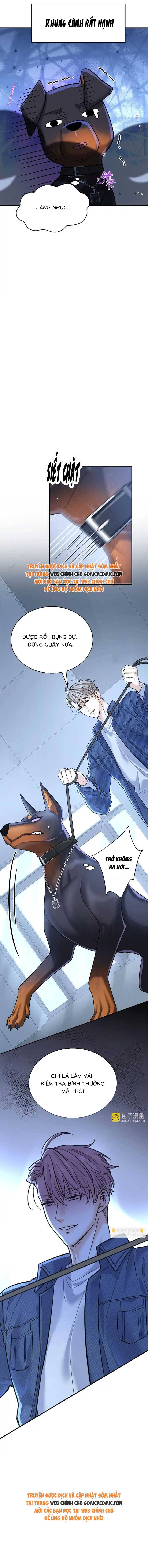 Tổng Tài Chó - Chap 13