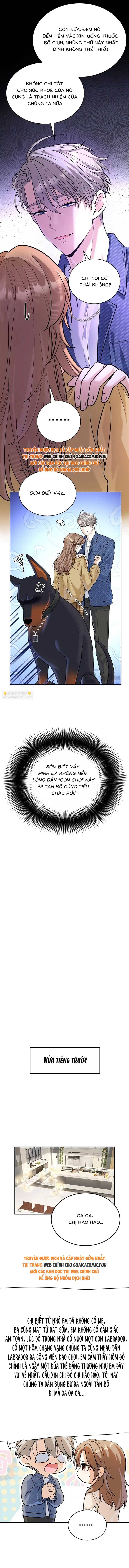 Tổng Tài Chó - Chap 13
