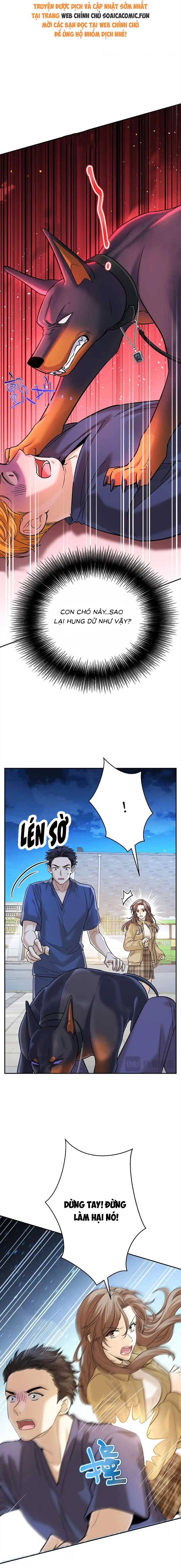 Tổng Tài Chó - Chap 13