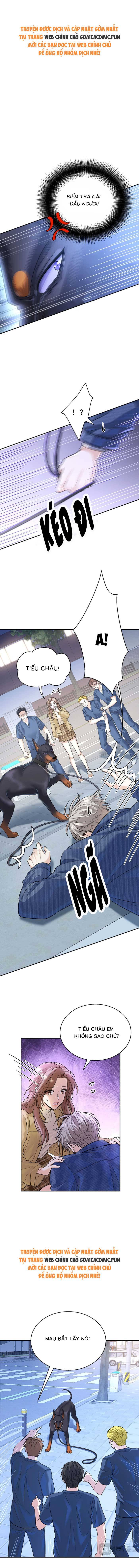 Tổng Tài Chó - Chap 14