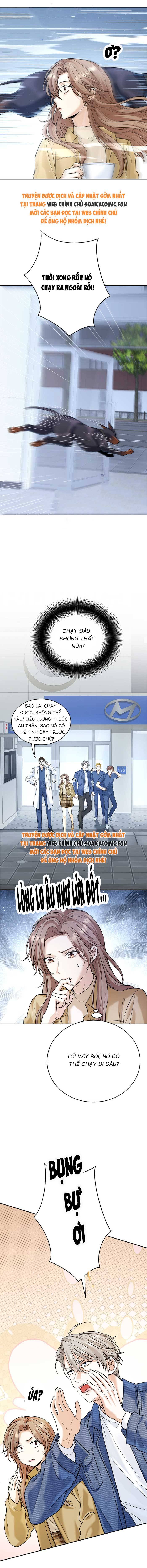Tổng Tài Chó - Chap 14