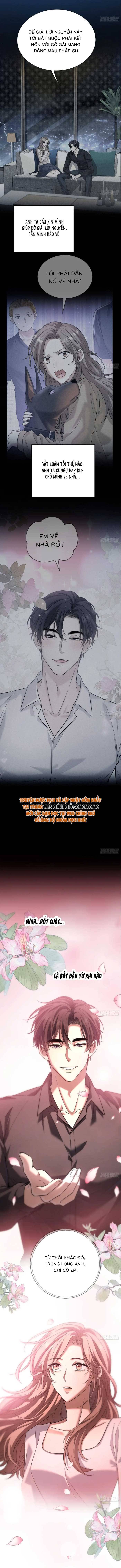 Tổng Tài Chó - Chap 29