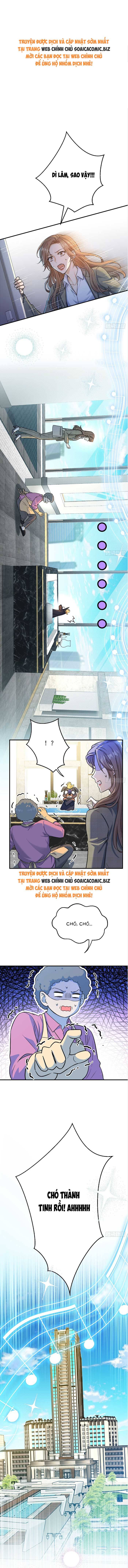 Tổng Tài Chó - Chap 8