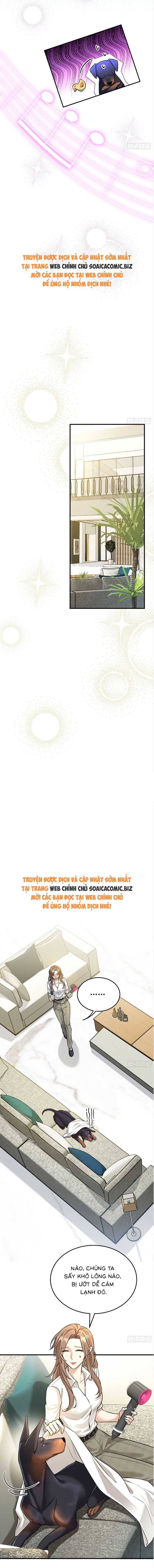Tổng Tài Chó - Chap 8