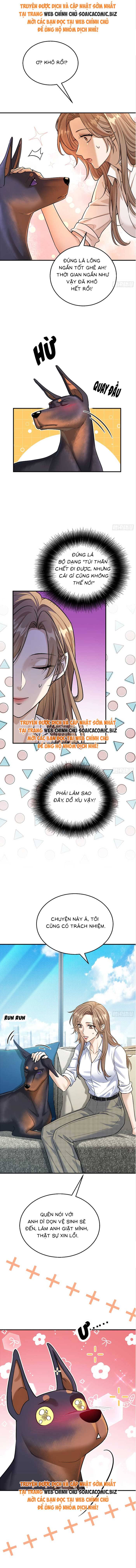 Tổng Tài Chó - Chap 8