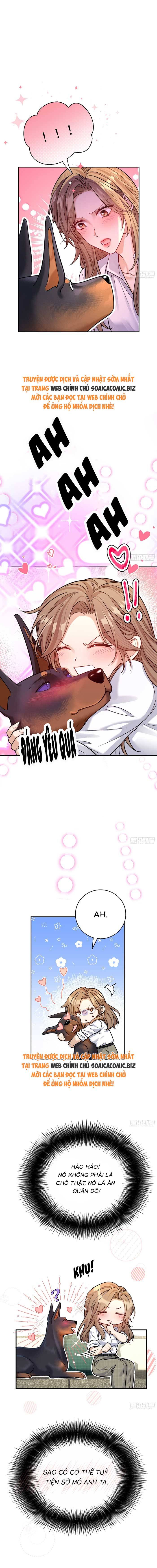Tổng Tài Chó - Chap 8