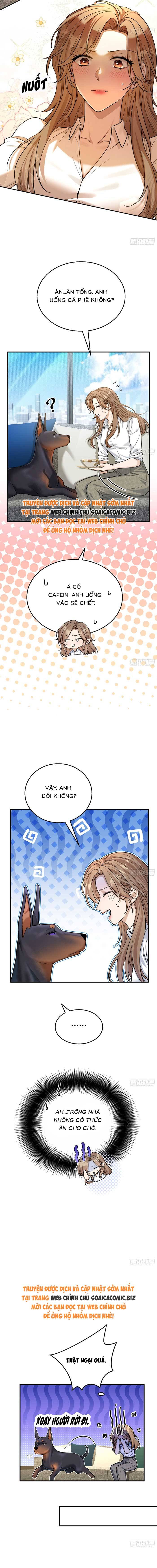 Tổng Tài Chó - Chap 8