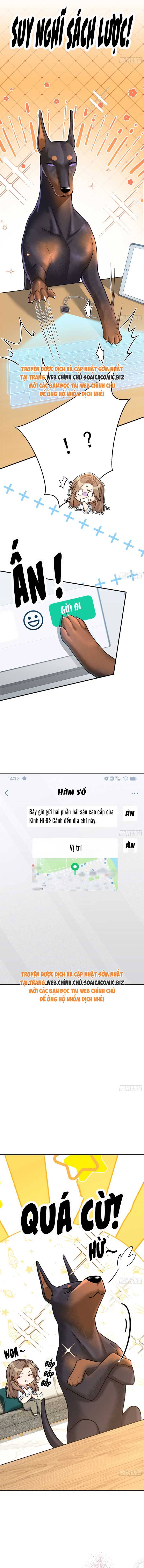 Tổng Tài Chó - Chap 8