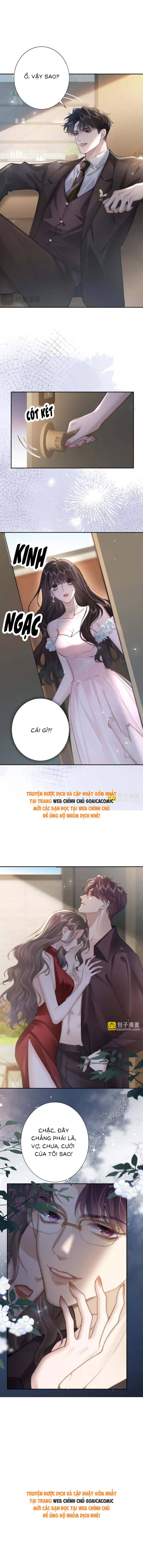 Tổng Tài Cố Chấp, Xin Hãy Buông Tha - Chap 5