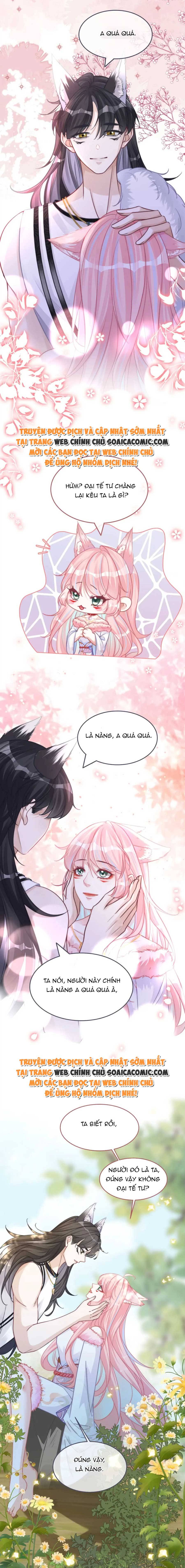Xuyên Nhanh Nữ Xứng Bình Tĩnh Một Chút - Chap 163