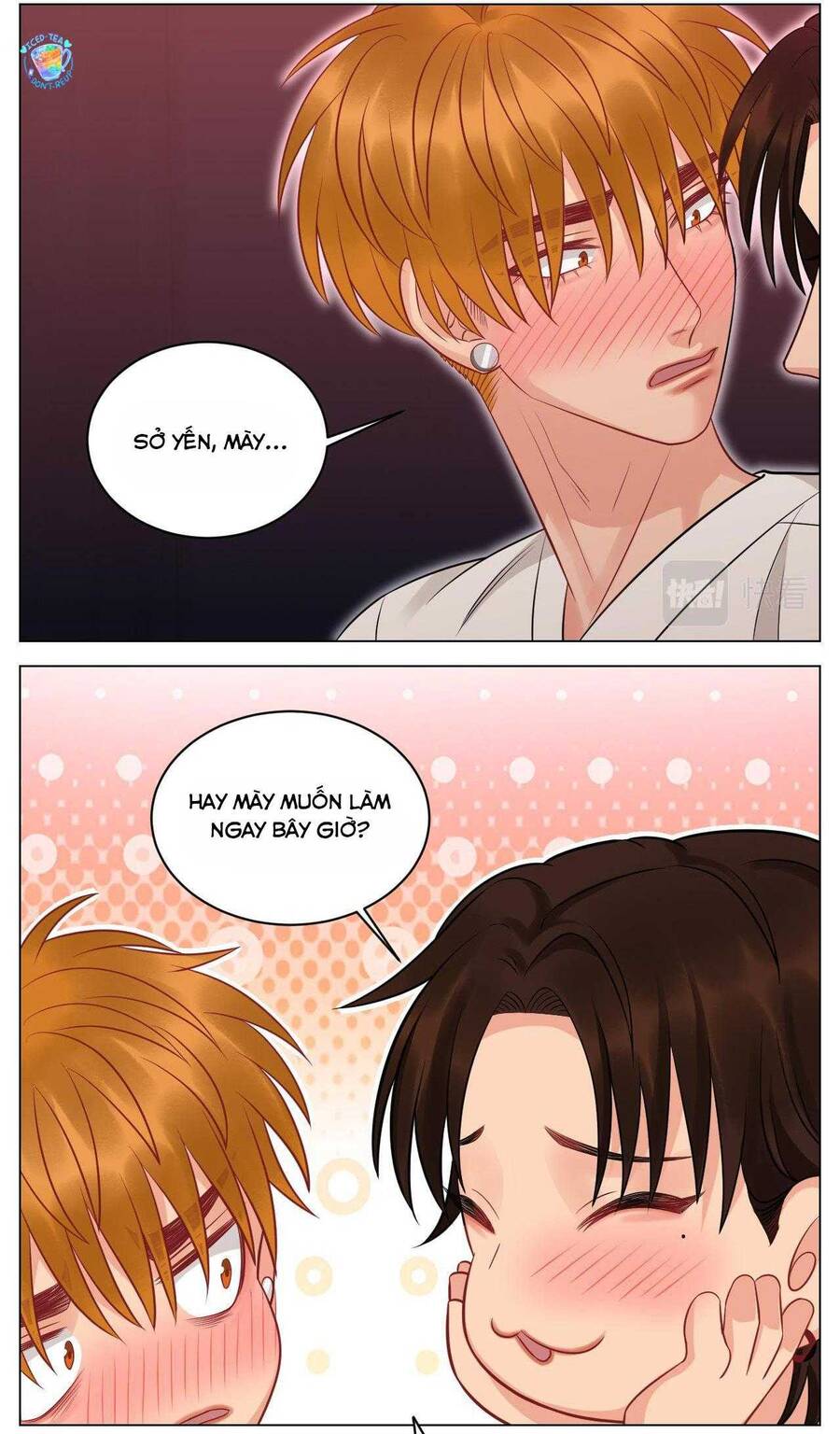 Ký Túc Xá Nam Phòng 303 - Chap 233