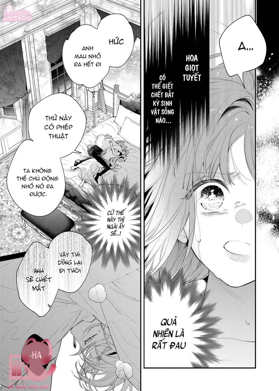 Hoa Hồng Ẩn Giấu Sao Băng - Chap 8
