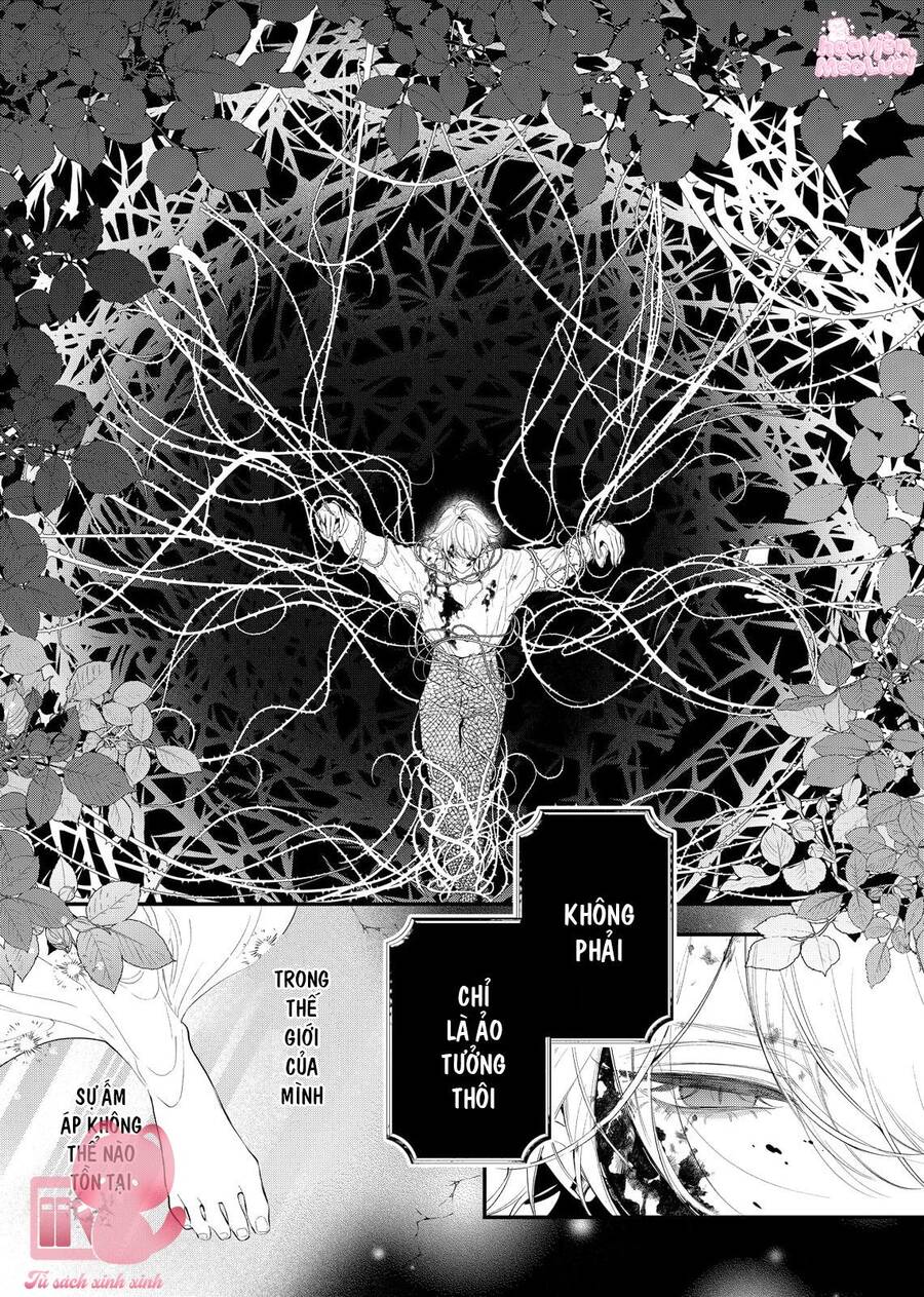 Hoa Hồng Ẩn Giấu Sao Băng - Chap 8