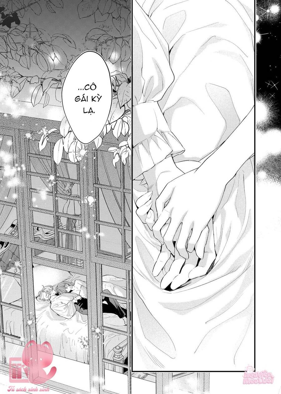 Hoa Hồng Ẩn Giấu Sao Băng - Chap 8