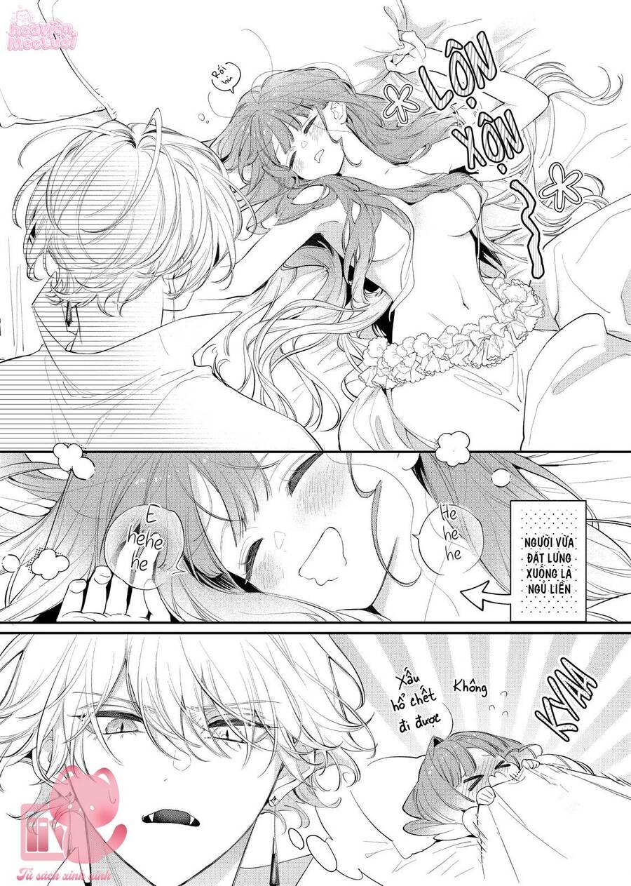 Hoa Hồng Ẩn Giấu Sao Băng - Chap 8