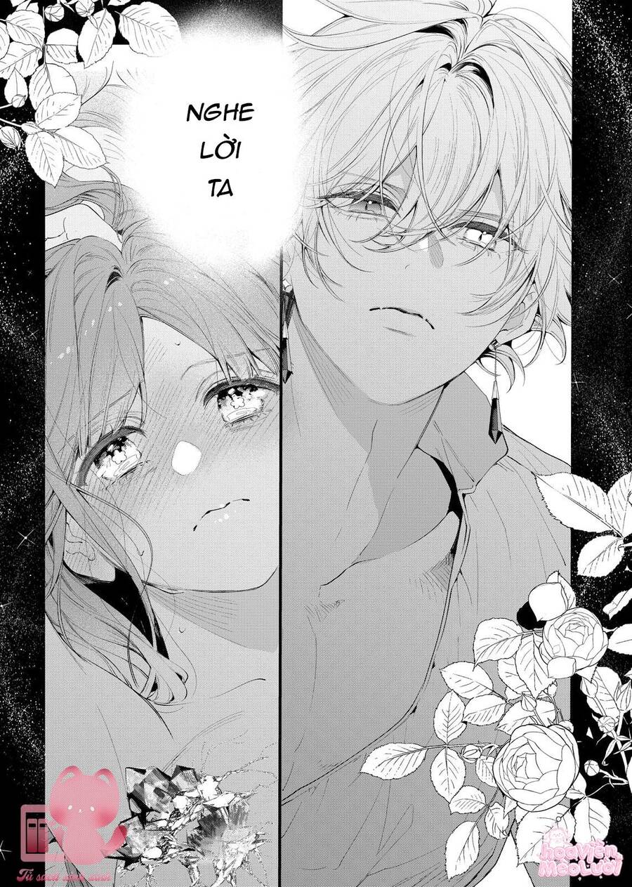 Hoa Hồng Ẩn Giấu Sao Băng - Chap 8