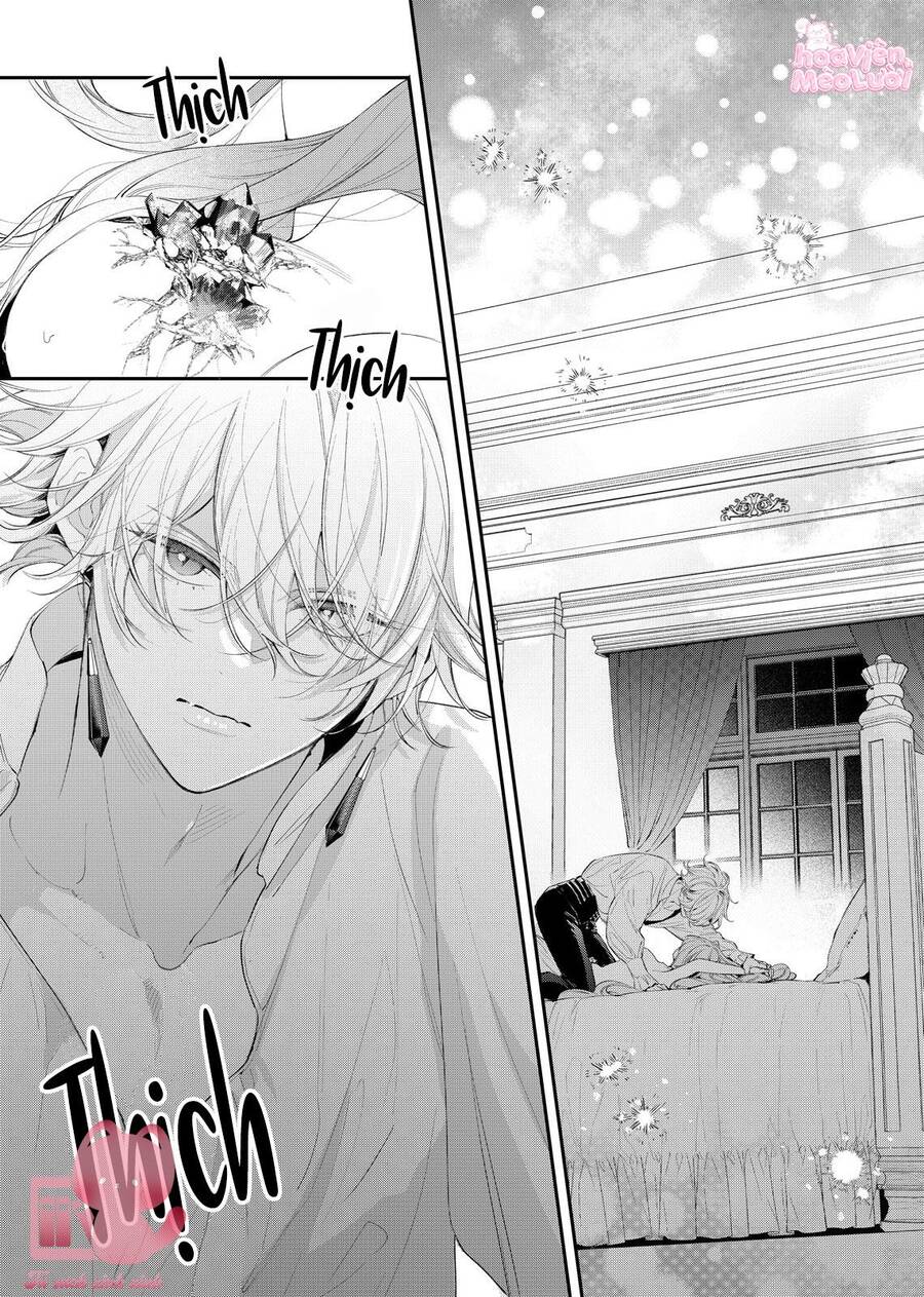 Hoa Hồng Ẩn Giấu Sao Băng - Chap 8