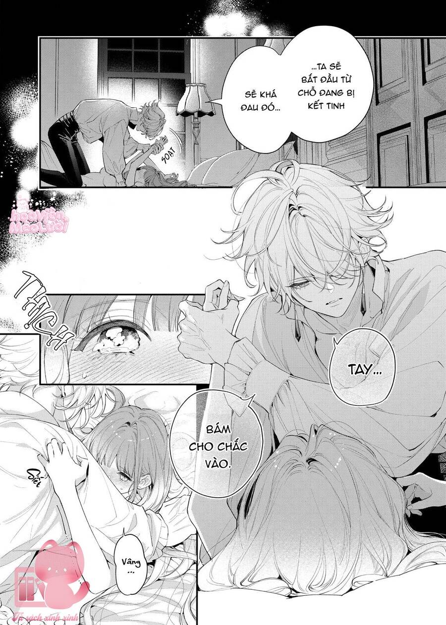Hoa Hồng Ẩn Giấu Sao Băng - Chap 8