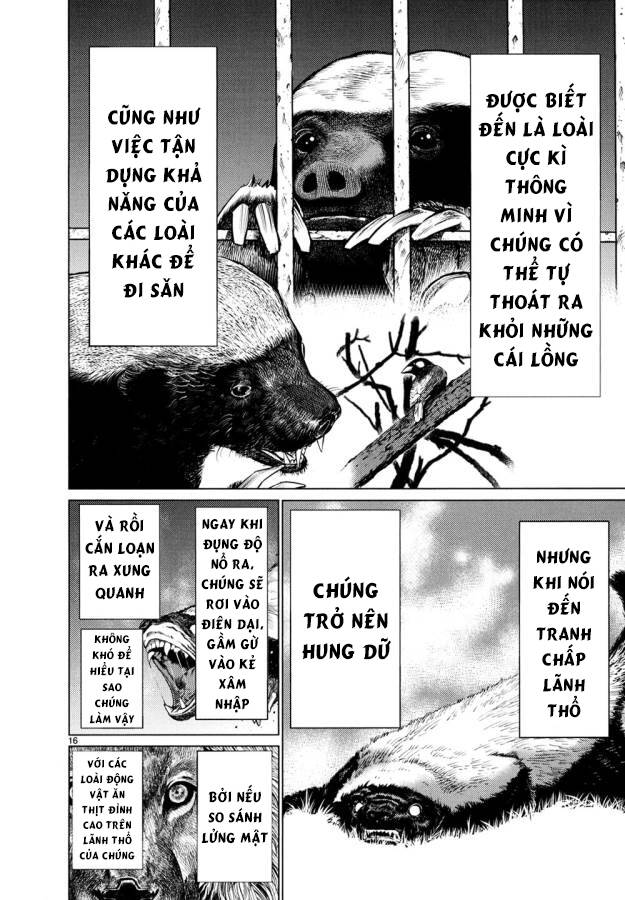 Killing Bites - Chap 26