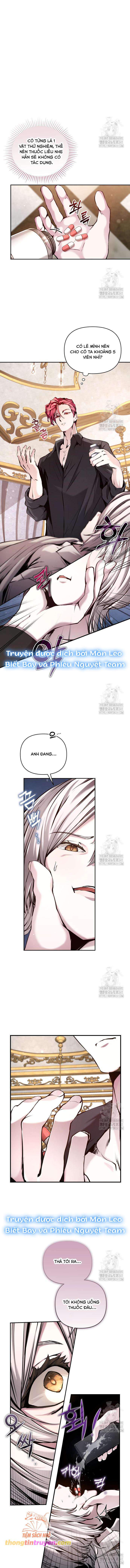 Thỏ Trắng Ở Xứ Sở Thần Tiên - Chap 8